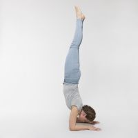 pincha mayurasana umkehr